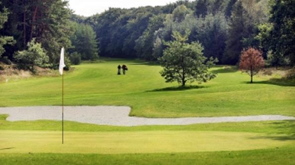 Dayz Sohojlandet Golf Resort Gjern Pokoj fotografie